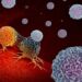 Tumors Can Get Destroyed By Bacteria-Aid To Immune System